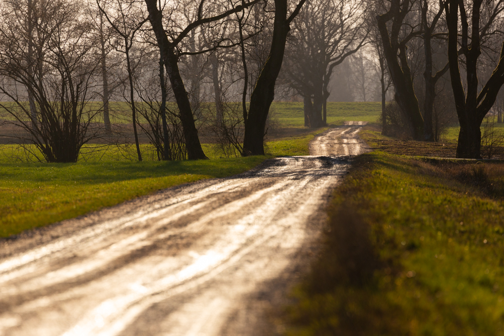 Lauteracherried im Jänner 77